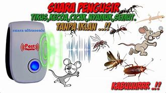 Suara Jangkrik Dan Kucing Pengusir Tikus Tanpa Iklan